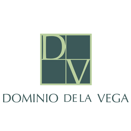 dominio vega